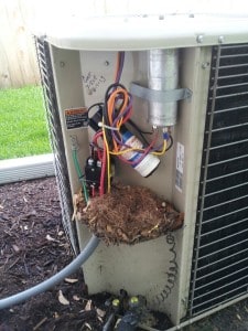 mice-nest-in-air-conditioner-unit