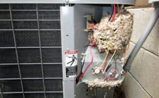 574574 orig cropped 512px