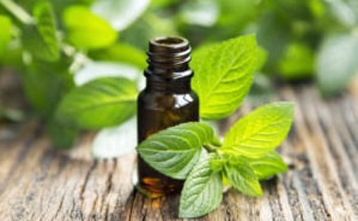 shutterstock 287405864 512px