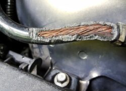 shutterstock 729806848