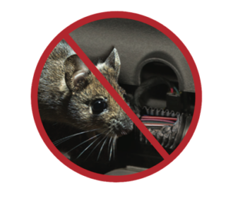 nhou mouse out no rodent badge nhou mouse out no rodent badge